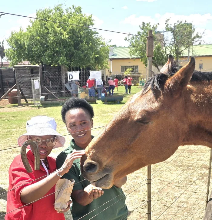A teacher and a learner feeding a horse by hand at the fence