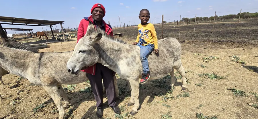 Two children on a pony ride